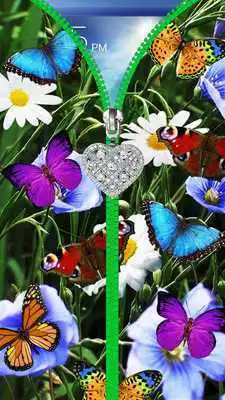 Play Summer, butterfly lock screen. Play Summer, butterfly lock screen.