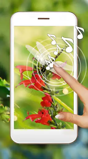 Play Summer Days Live Wallpaper  and enjoy Summer Days Live Wallpaper with UptoPlay