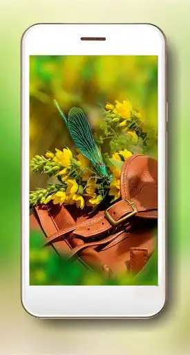 Play Summer Days Live Wallpaper as an online game Summer Days Live Wallpaper with UptoPlay