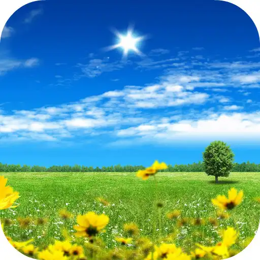 Free play online Summer Flowers live wallpaper APK Free play online Summer Flowers live wallpaper APK