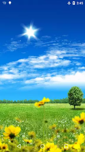 Play Summer Flowers live wallpaper