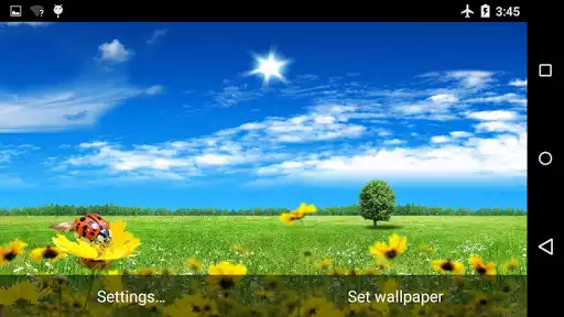 Play Summer Flowers live wallpaper