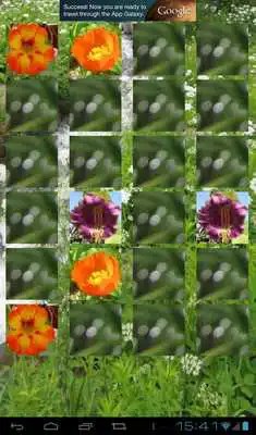 Play Summer Flowers: Memory (Free)