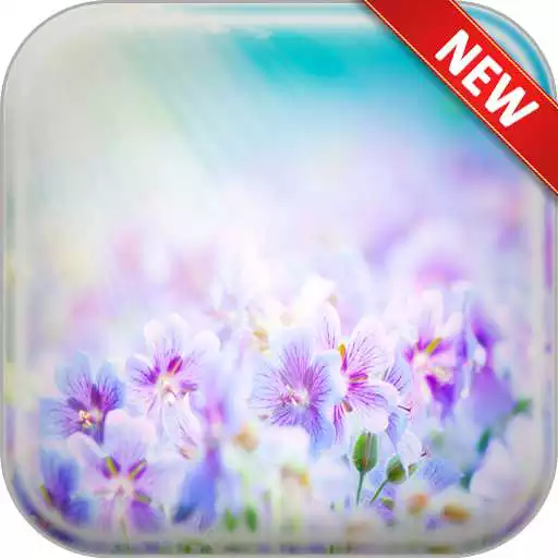 Run free android online Summer Flowers Wallpapers APK