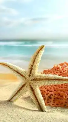 Play Summer Live Wallpaper