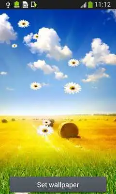 Play Summer Live Wallpapers Play Summer Live Wallpapers