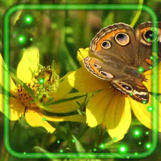 Play Summer Mood Live Wallpaper APK Play Summer Mood Live Wallpaper APK