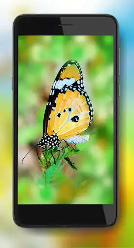 Play Summer Mood Live Wallpaper as an online game Summer Mood Live Wallpaper with UptoPlay