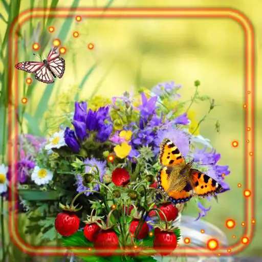 Play Summer Motive APK