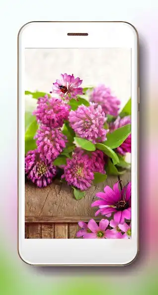 Play Summer Motive and enjoy Summer Motive with UptoPlay Play Summer Motive and enjoy Summer Motive with UptoPlay