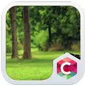 Free play online Summer Park CLauncher Theme APK Free play online Summer Park CLauncher Theme APK