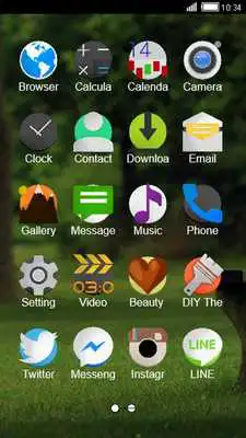 Play Summer Park CLauncher Theme