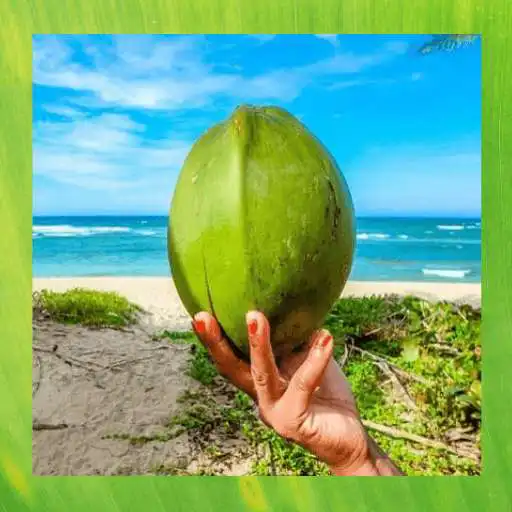 Play Summer Pictures APK