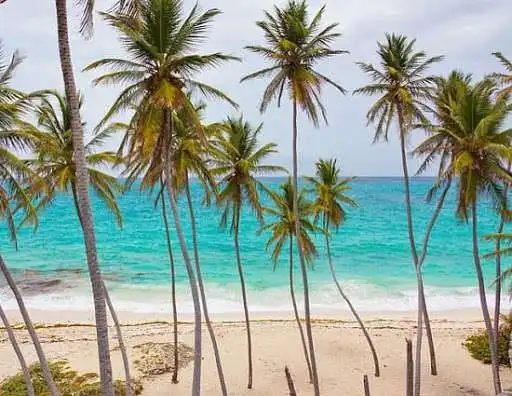 Play Summer Pictures as an online game online Summer Pictures with UptoPlay com.nanchosapps.summerpictures Play Summer Pictures as an online game Summer Pictures with UptoPlay