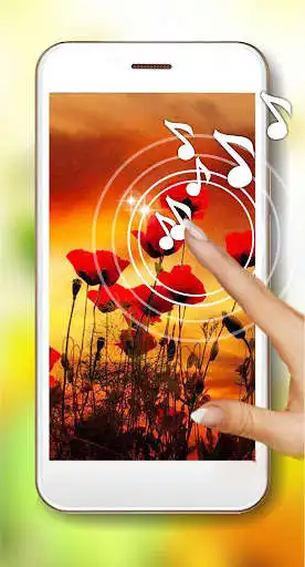 Play Summer Poppy lwp  and enjoy Summer Poppy lwp with UptoPlay