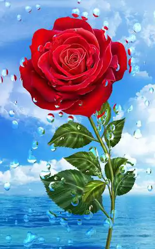 Play Summer Rain, Flowers, HD LWP