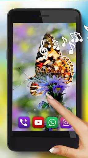 Play Summer Season as an online game Summer Season with UptoPlay