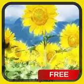 Free play online Summer Sunflowers Live Wallpap APK Free play online Summer Sunflowers Live Wallpap APK