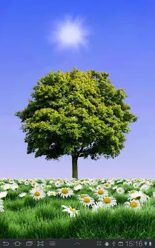 Play Summer Trees Free  and enjoy Summer Trees Free with UptoPlay
