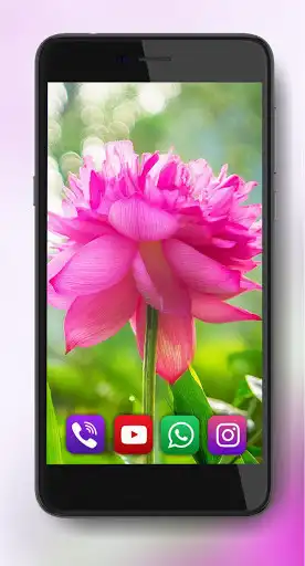 Play Summer Vacation Live Wallpaper as an online game Summer Vacation Live Wallpaper with UptoPlay