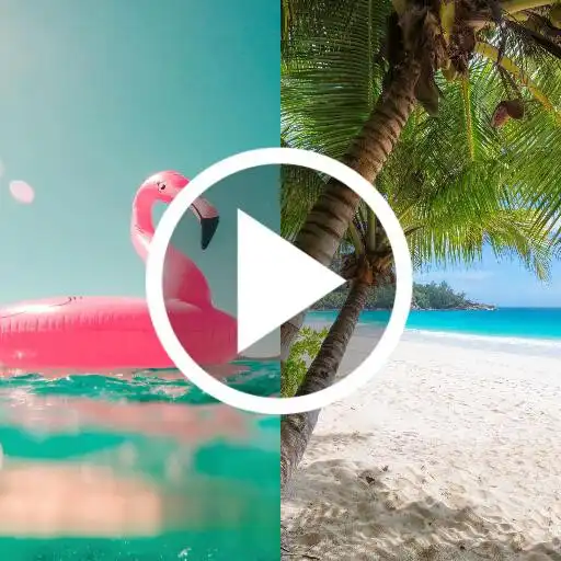 Play Summer Video Live Wallpaper APK Play Summer Video Live Wallpaper APK