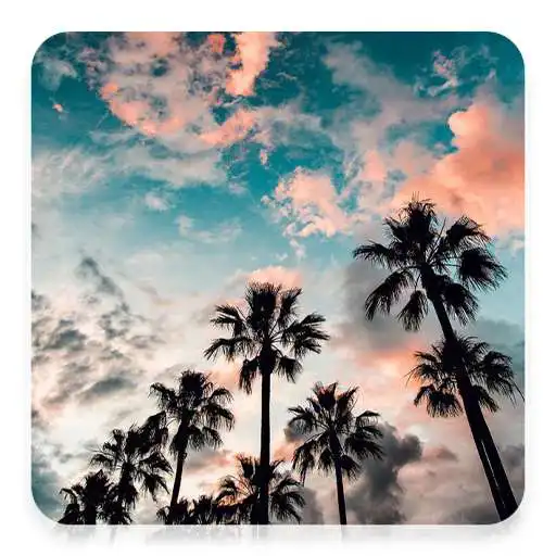 Play Summer Wallpaper HD, GIF APK