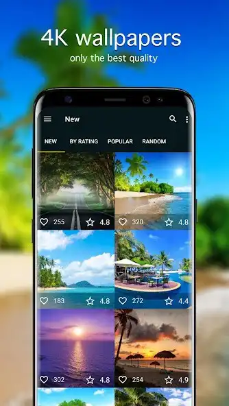 Play Summer Wallpapers PRO  and enjoy Summer Wallpapers PRO with UptoPlay