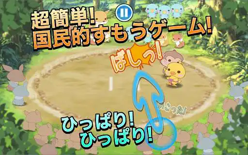 Play Sumo Birds Gaiden