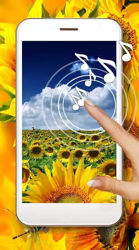 Play Sunflower Field Live Wallpaper  and enjoy Sunflower Field Live Wallpaper with UptoPlay