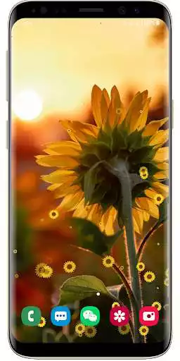 Play Sunflower Live Wallpaper Free