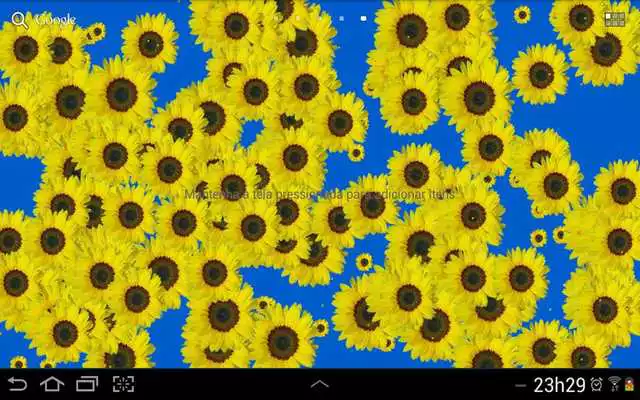 Play Sunflower Live Wallpaper Free