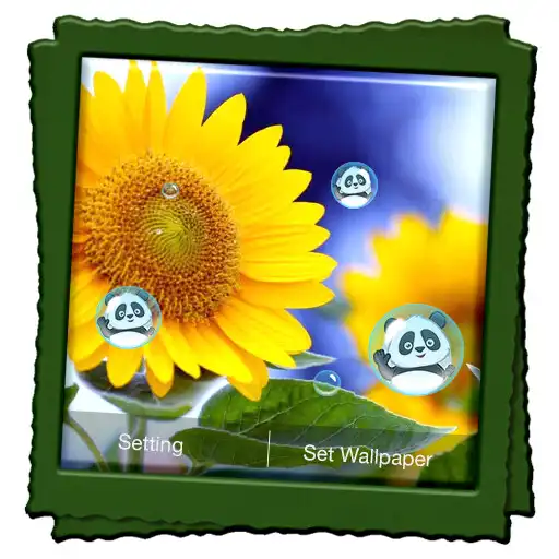 Run free android online Sunflower Live Wallpaper APK