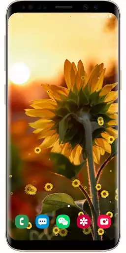 Play Sunflower Live Wallpaper