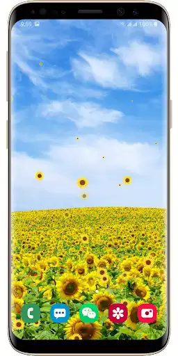 Play Sunflower Live Wallpaper