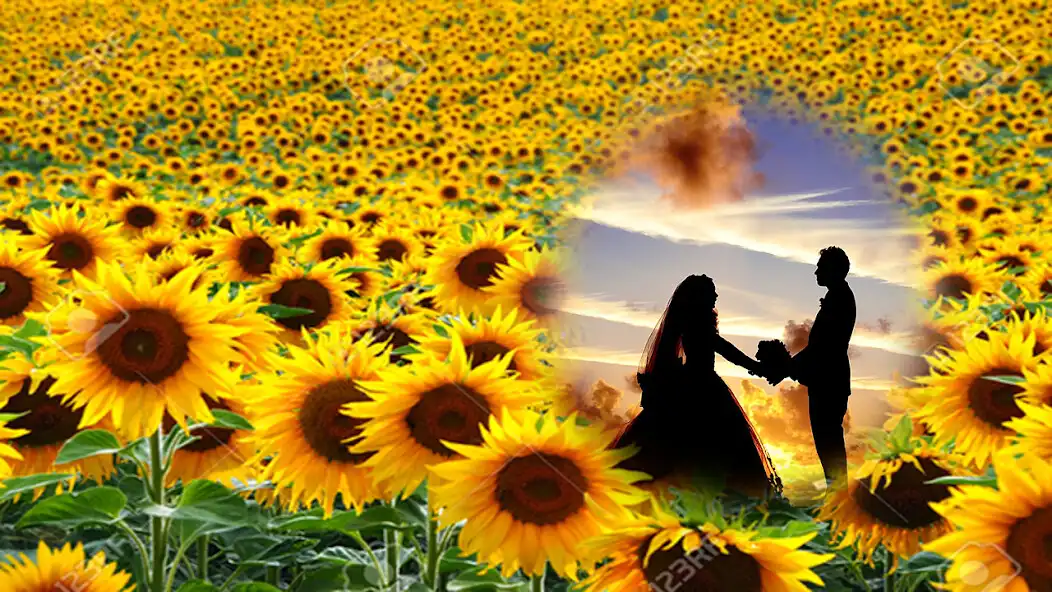 Play sunflower photo frames editor as an online game sunflower photo frames editor with UptoPlay
