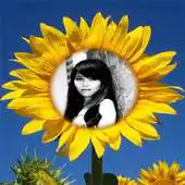 Free play online Sunflower photo frames Maker APK