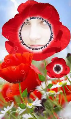 Play Sunflower photo frames Maker Play Sunflower photo frames Maker