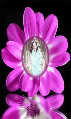 Play Sunflower photo frames Maker Play Sunflower photo frames Maker