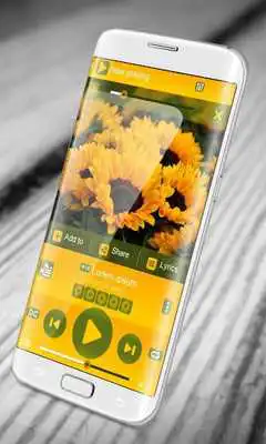 Play Sunflower PlayerPro Skin