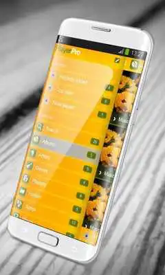 Play Sunflower PlayerPro Skin