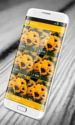 Play Sunflower PlayerPro Skin