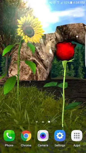 Play Sunflower Rose Lwp 3d Lt  and enjoy Sunflower Rose Lwp 3d Lt with UptoPlay