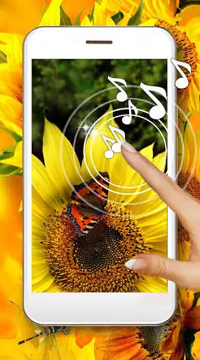Play Sunflower Season and enjoy Sunflower Season with UptoPlay Play Sunflower Season and enjoy Sunflower Season with UptoPlay