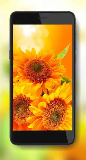 Play Sunflower Season as an online game online Sunflower Season with UptoPlay com.vkuskonfet3d.sunflowerseason Play Sunflower Season as an online game Sunflower Season with UptoPlay