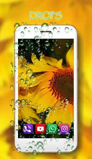 Play Sunflowers Summer as an online game Sunflowers Summer with UptoPlay