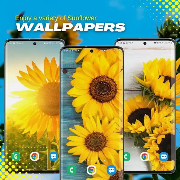 Play Sunflower Wallpapers HD as an online game Sunflower Wallpapers HD with UptoPlay