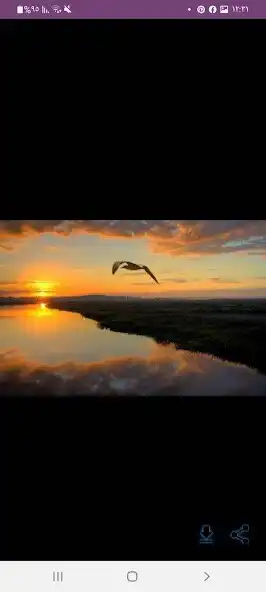 Play sun image _ sun wallpaper and enjoy sun image _ sun wallpaper with UptoPlay Play sun image _ sun wallpaper and enjoy sun image _ sun wallpaper with UptoPlay