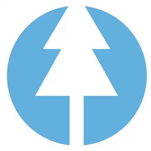 Play Sunny Pine APK Play Sunny Pine APK