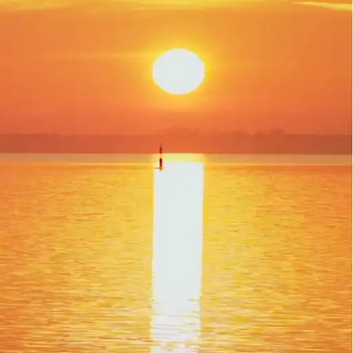 Play Sun Rise Live Wallpaper Pro APK Play Sun Rise Live Wallpaper Pro APK