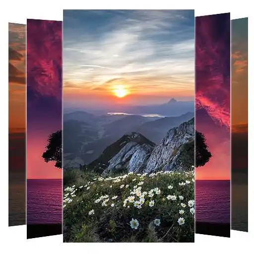 Play Sunrise Wallpapers and Backgrounds APK